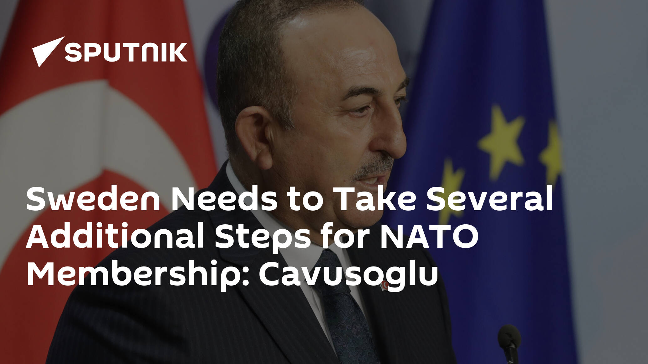 Sweden Needs to Take Several Additional Steps for NATO Membership: Cavusoglu