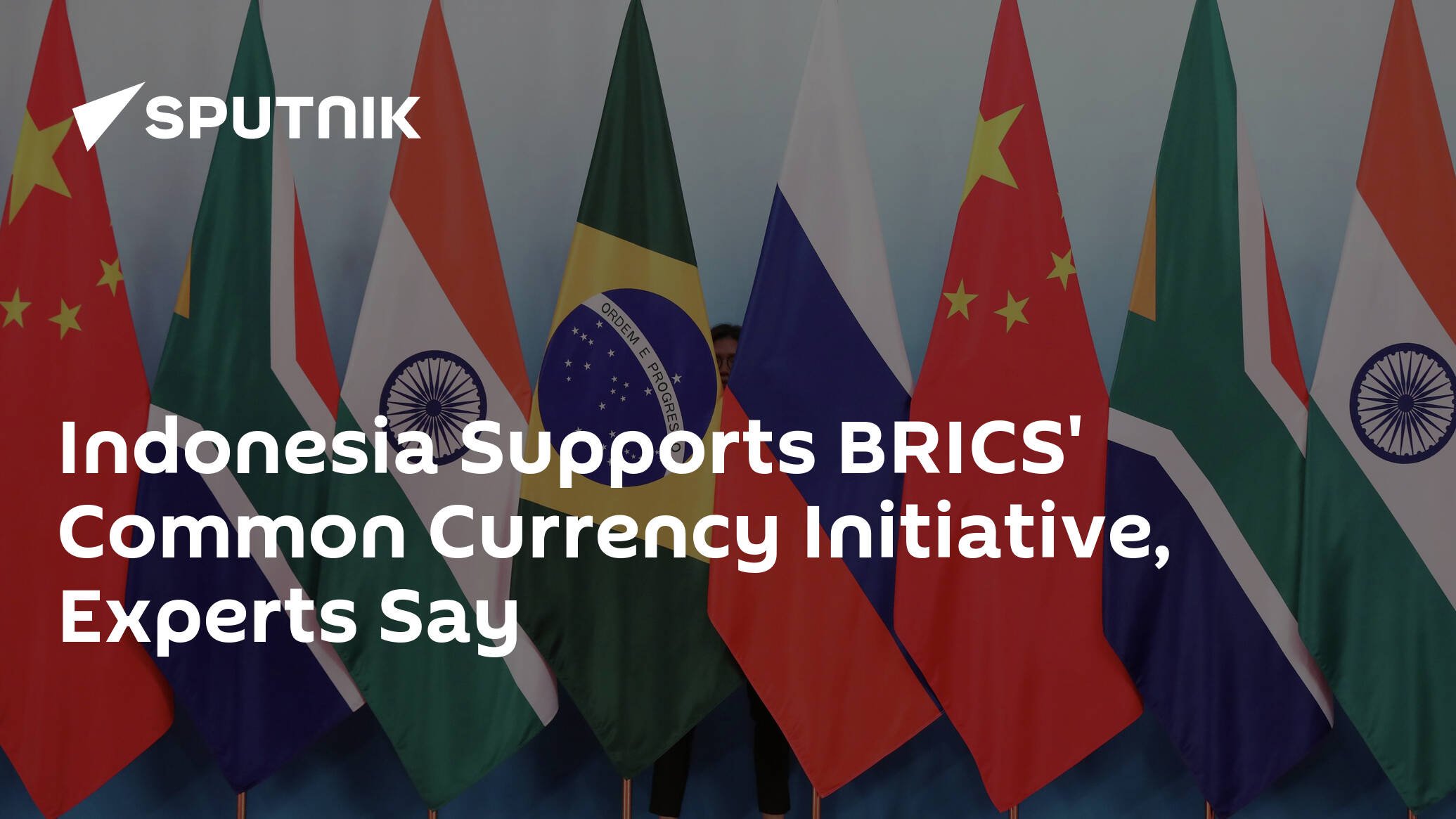 Indonesia Supports BRICS' Common Currency Initiative, Experts Say